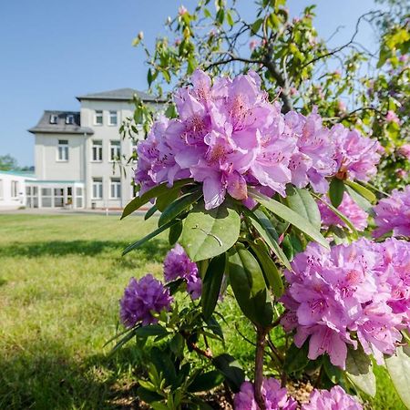 Hotel Siegmar Im Geschaftshaus Chemnitz Ngoại thất bức ảnh