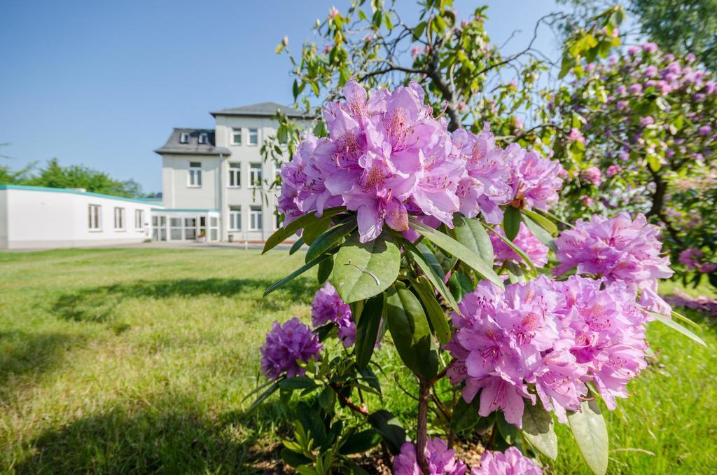 Hotel Siegmar Im Geschaftshaus Chemnitz Ngoại thất bức ảnh
